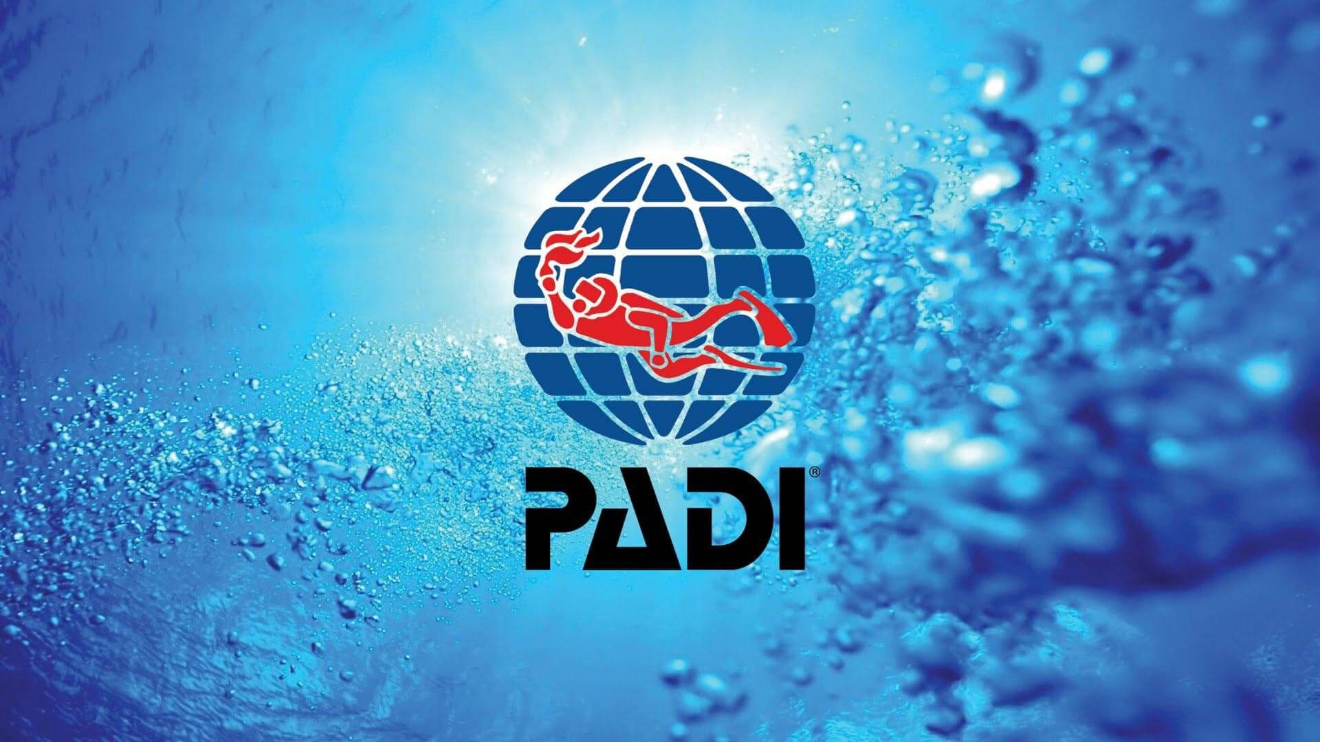 padi background