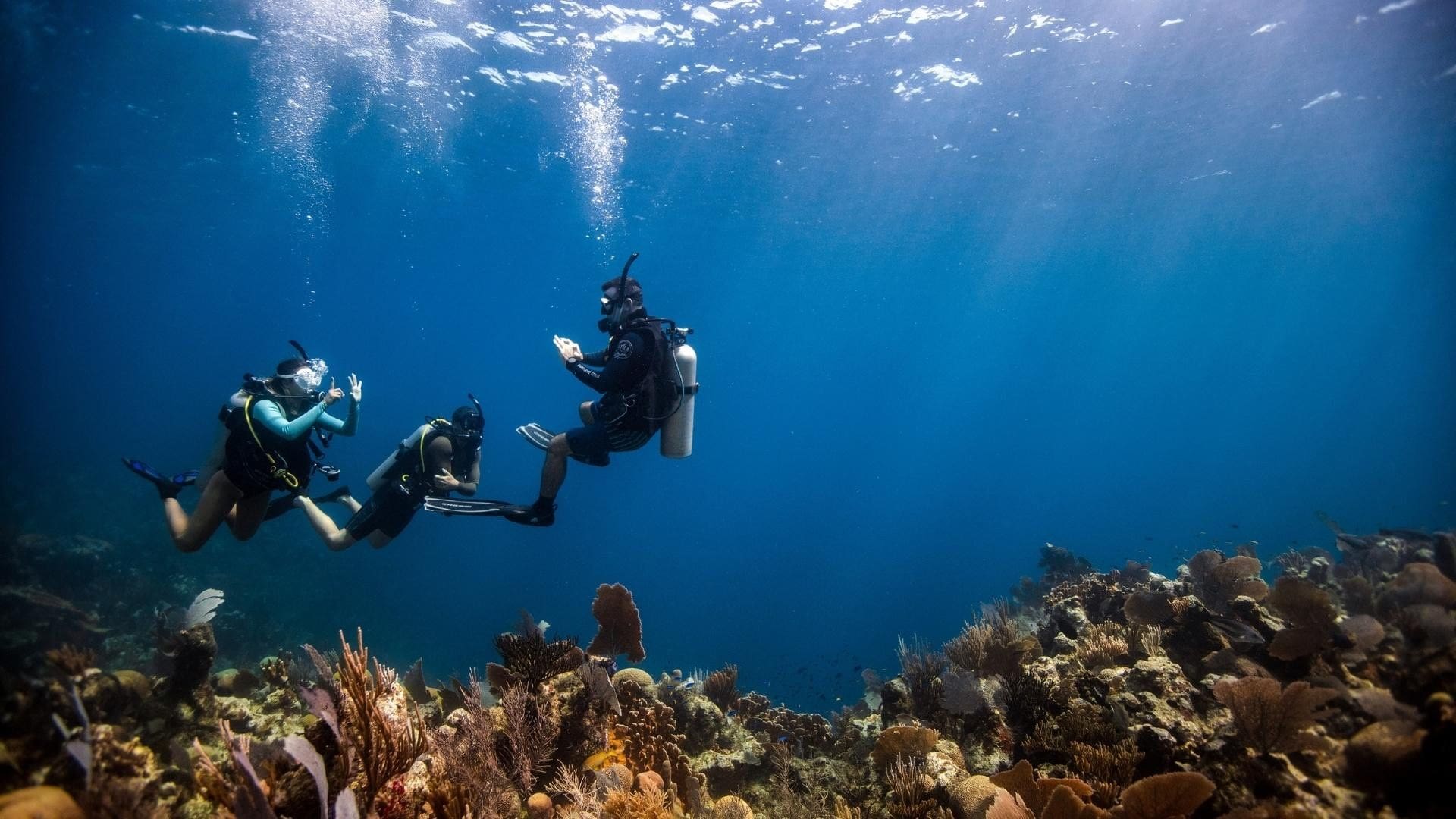 discover scuba diving