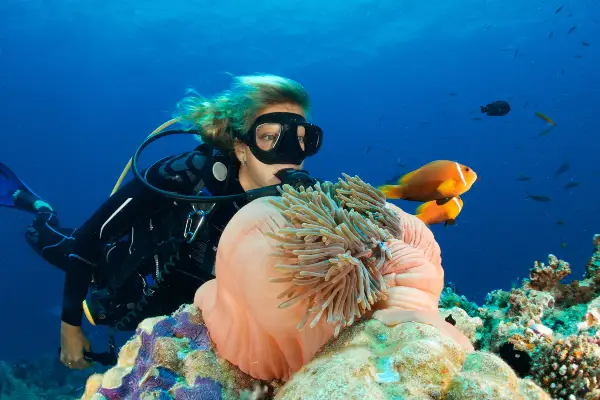 fun dives boracay