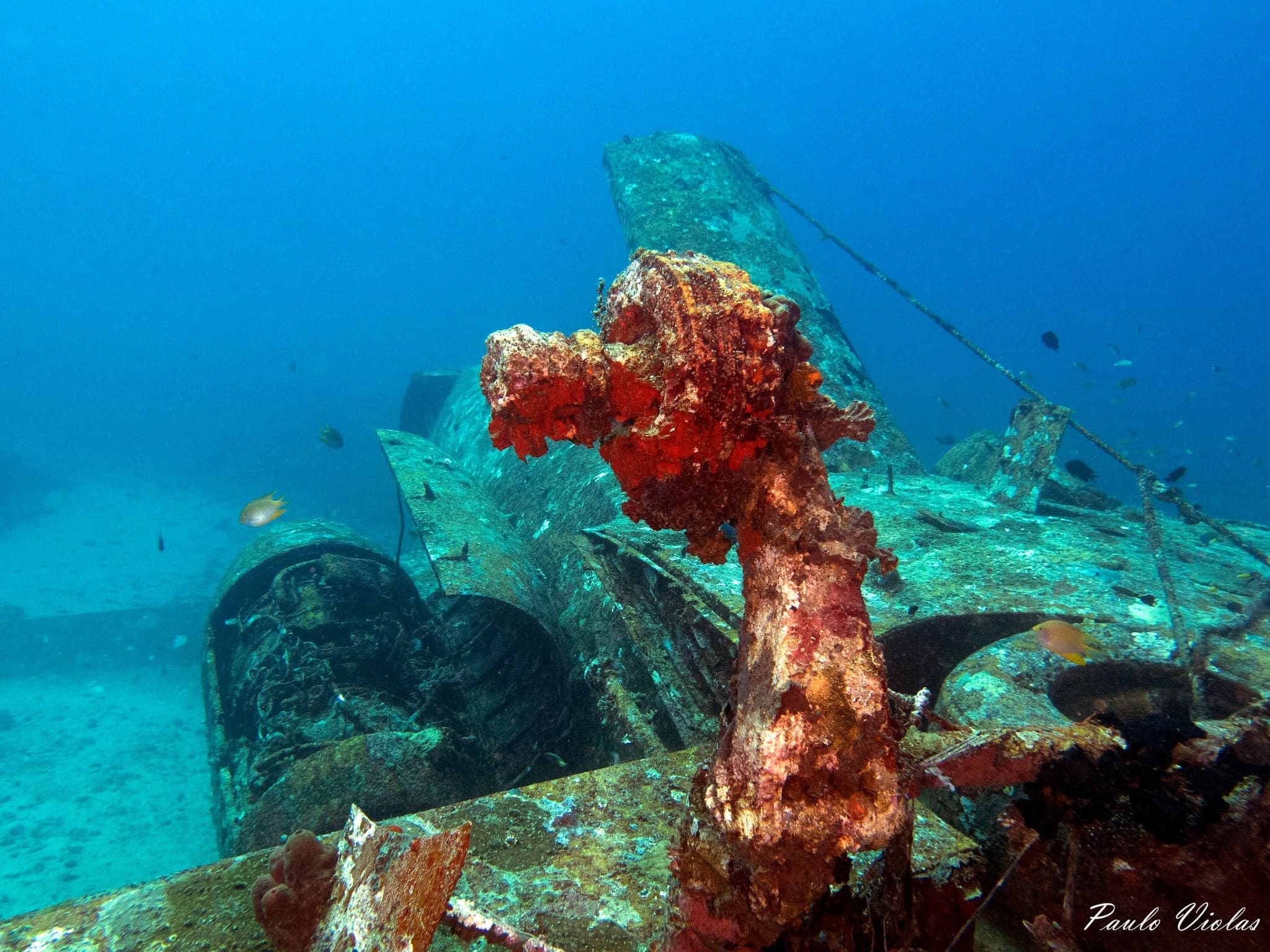 Wreck Diving in Boracay: Why the Tribird Wreck is Perfect for All Levels