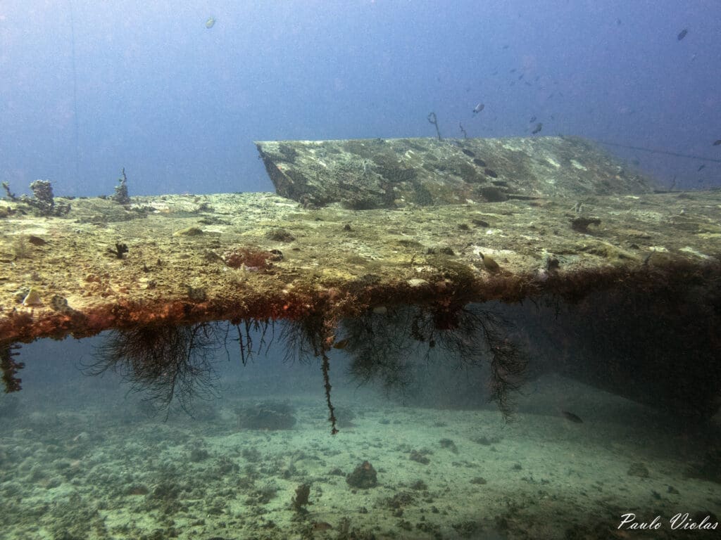 10/17/2024 Dive Log - Tri-Bird Plane Wreck